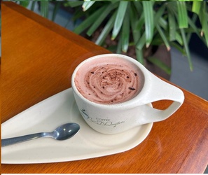 CHOCOLATE  ALPINO 