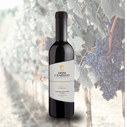 Dom Cândido cabernet sauvignon 750ml