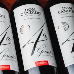 Dom Cândido 4ª Geração Marselan