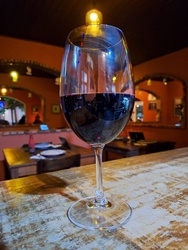 Taça de Vinho Tinto Seco - 250 mL