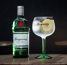 Tanqueray Classic Gin Tonic