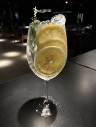 Gin Miami
