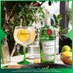 Gin Tanqueray London Dry 