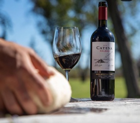 Catena/ Malbec
