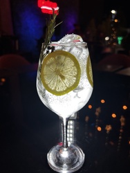 Gin Tônica
