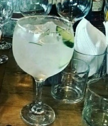  Ernanis gin 