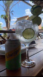Gin e Swepps citrus