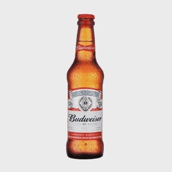 Budweiser long neck