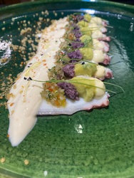 TIRADITO SANTA LUZIA 