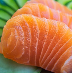 Sashimi
