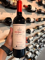MIOLO SINGLE MERLOT TERROIR