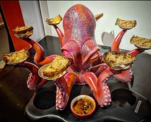 Oxente Octopus