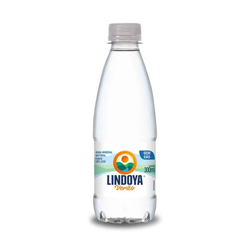 Agua sem gas 300ml