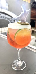 Gin Melancia