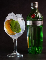 TANQUERAY 10 G&T
