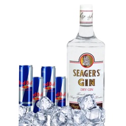 COMBO GIN SEAGERS+5 REDBULL