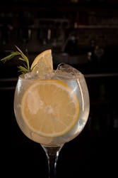GIN, TÔNICA, LIMÃO E ALECRIM