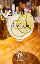 Gin Tônica