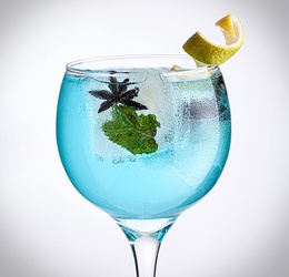 Blue Gin 