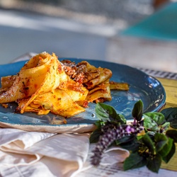 Pappardelle ao Pesto de Tomate seco e Nozes