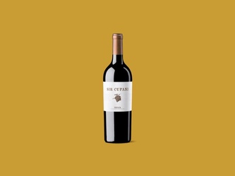 Vinho Tinto Espanha Rioja Sir Cupani 