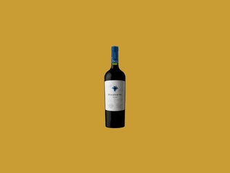 Vinho Fino Tinto Seco Malbec Magneta