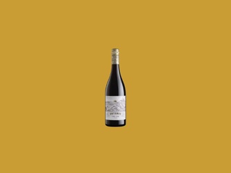 Vinho Fino Tinto Anterra Pinot Nero Terre Siciliane Igt 