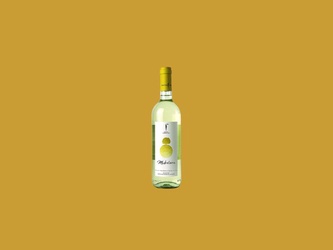 Vinho Fino Branco Salento Igp Madreterra 
