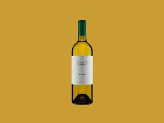 Vinho Fino Branco Seco Fora Paolo Conterno - 2016