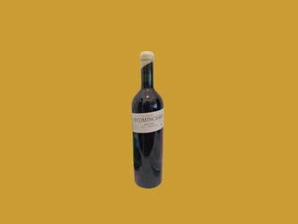 Tinto Ricominciare Altissimo Malbec 2020