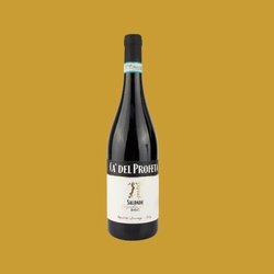 GRIGNOLINO DASTI SAUDADE DOC, 2017 CA DEL PROFETA 