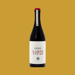 Vinho Tinto Seco Casal da Coelheira Carpe Vitae, 750ML