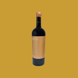 Berkano Premium Wines Merlot Carvalho, 2021 - 750ML