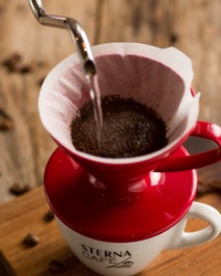 Hario V60.