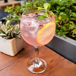 Sterna Gin