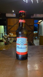 Budweiser