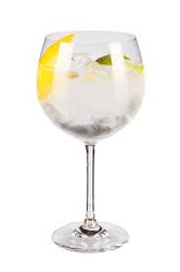 Gin Tônica Clássico