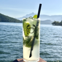 MOJITO