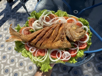 PEIXE FRITO (PARGO)