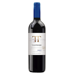 MERLOT TANTEHUE (CHILE)