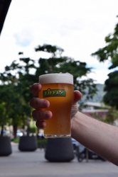 Liffey James Blond (BELGIAN BLOND)