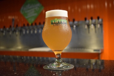 Liffey Magali (Catharina Sour)