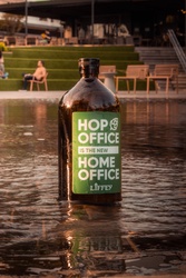 Liffey Impostora  (Pilsen de Uva) 