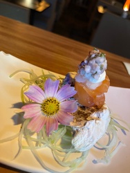 TAKO DJO