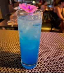 SORA (CÉU AZUL)