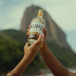 GIN ARPO (DOSE)