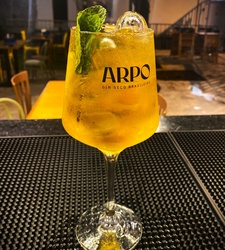 GIN 67 - 67 calorias!
