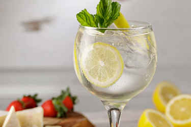 GIN TÔNICA