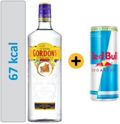 GIN 67 - 67 calorias!