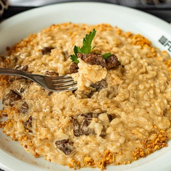 RISOTO & MIGNON